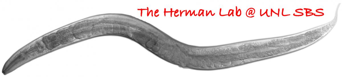 Herman-Lab-UNL-banner